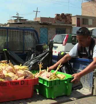 DECOMISAN BALANZAS ADULTERADAS Y POLLOS EN MAL ESTADO EN MERCADO DECOMISAN BALANZAS ADULTERADAS Y POLLOS EN MAL ESTADO EN MERCADO