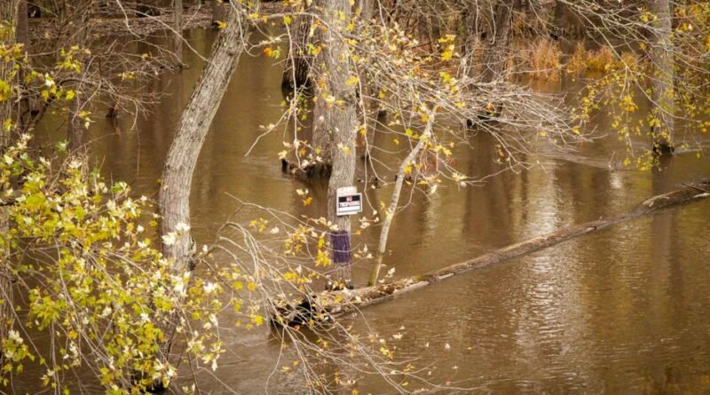 flood protest