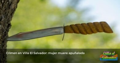 stabbing victim, femicide