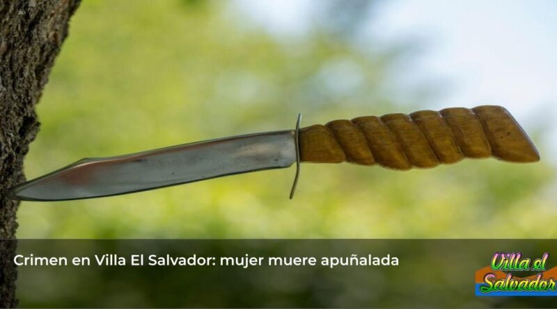 stabbing victim, femicide