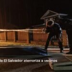 shooting incident
