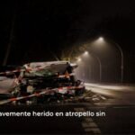 hit and run accident