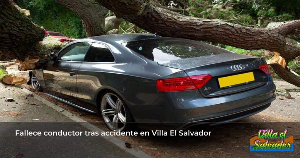 car crash tree