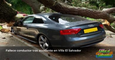 car crash tree
