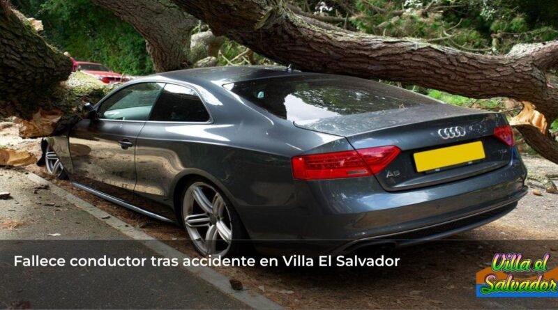 car crash tree